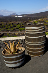 Similar image 10909235