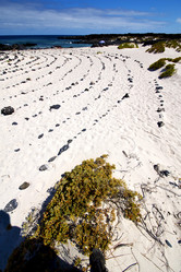 Similar image 10908326