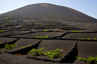 Similar image 10908572