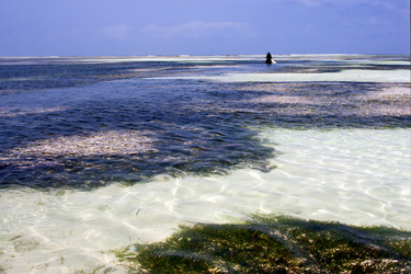 Similar image 10908595