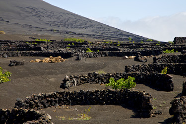 Similar image 10909061