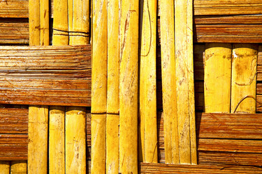 Similar image 10909139