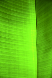 Similar image 10909142