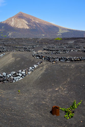 Similar image 10909159