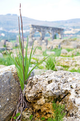 Similar image 10909265