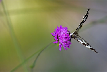 Similar image 10908598