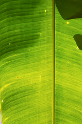 Similar image 10909799