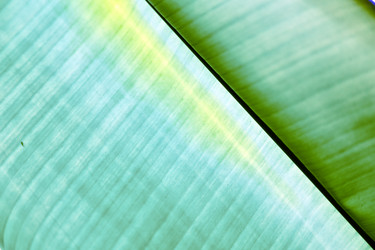 Similar image 10909081