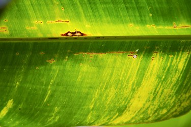 Similar image 10909102