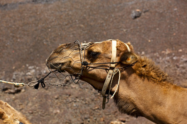 Similar image 10909222