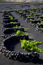 Similar image 10909843