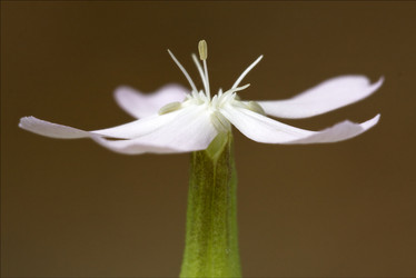 Similar image 10909128