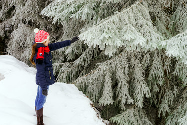 Similar image 10907199