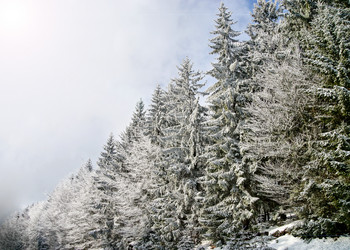 Similar image 10907204