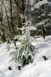 Similar image 10907209