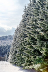 Similar image 10907212