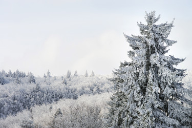 Similar image 10907181