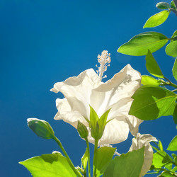 Similar image 10906465