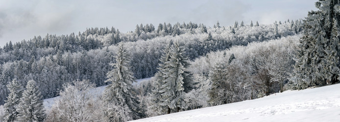 Similar image 10907193