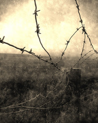 Similar image 10906226