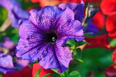 Similar image 10906255