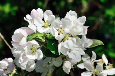 Similar image 10906256