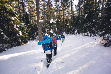 Similar image 10906816