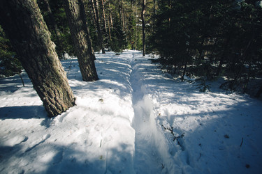 Similar image 10906818