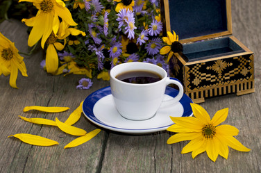 Similar image 10906310