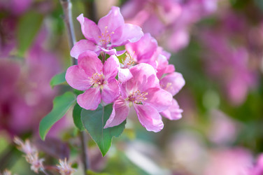 Similar image 10906382