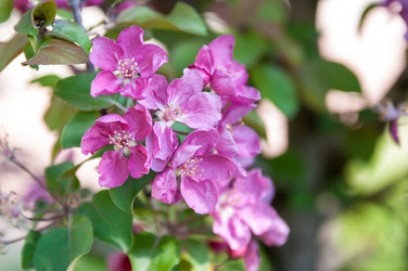 Similar image 10906383