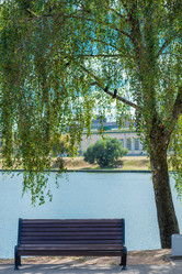 Similar image 10907507