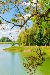 Similar image 10907581