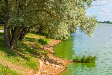 Similar image 10907582