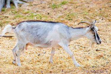 Similar image 10907594