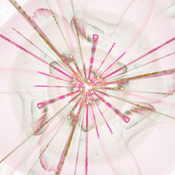 Similar image 10915357