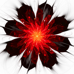 Similar image 10915379