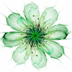 Similar image 10915104