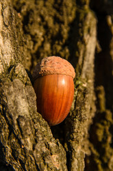 Similar image 10906502