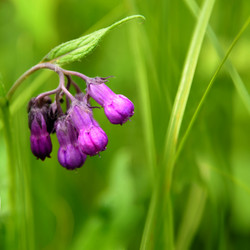 Similar image 10906505