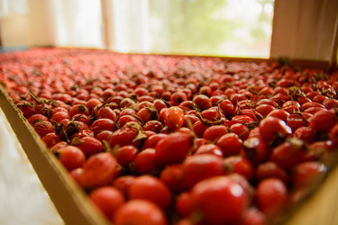 Similar image 10906506