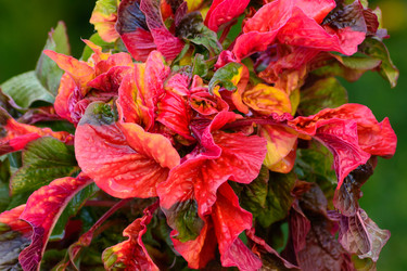 Similar image 10906577