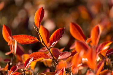 Similar image 10906579