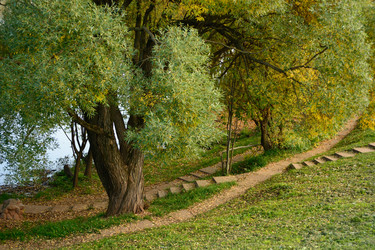 Similar image 10909959