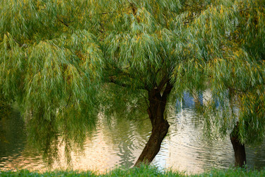 Similar image 10909960