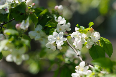 Similar image 10906557