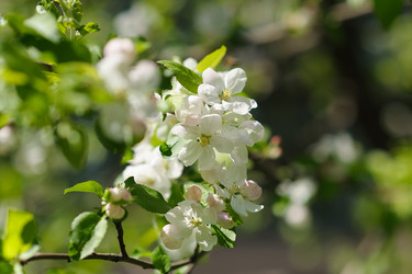 Similar image 10906560