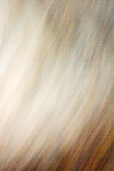 Similar image 10906630