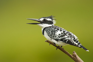 Similar image 10908433