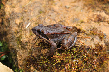 Similar image 10907889